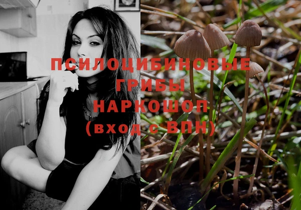 ПСИЛОЦИБИНОВЫЕ ГРИБЫ Алексеевка