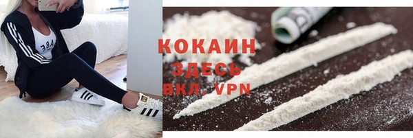 ПСИЛОЦИБИНОВЫЕ ГРИБЫ Семёнов