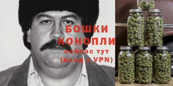 ПСИЛОЦИБИНОВЫЕ ГРИБЫ Алексеевка