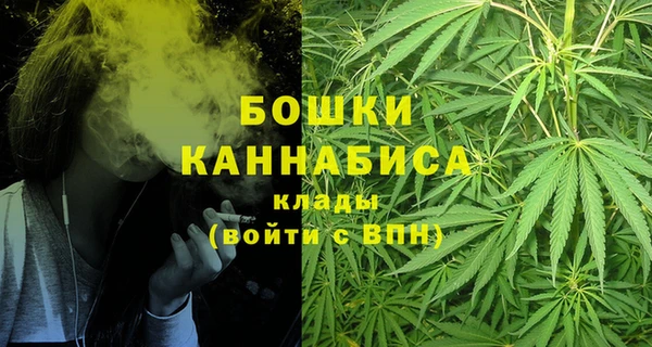 прущие грибы Семилуки
